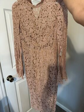 Bardot Dusty Pink Lace Long-Sleeve Sheath Dress
